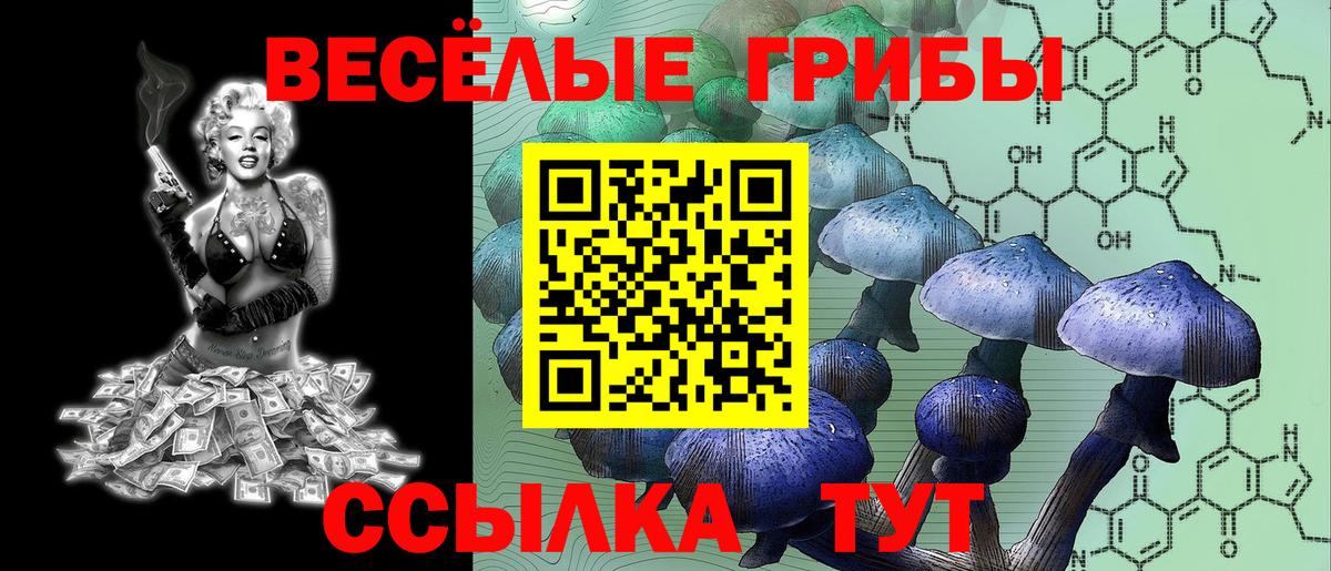 Новороссийск  Галлюциногенные грибы Magic Shrooms  Вход с VPN 